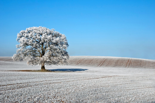 427445 (a): :2560x1700